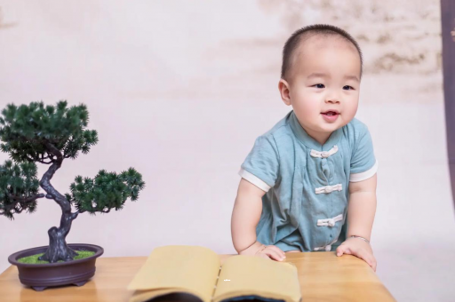 内江可爱的企鹅宝宝